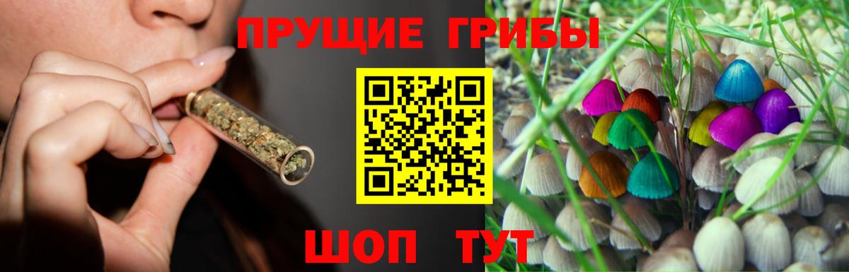 Псилоцибиновые грибы Cubensis Горячий Ключ
