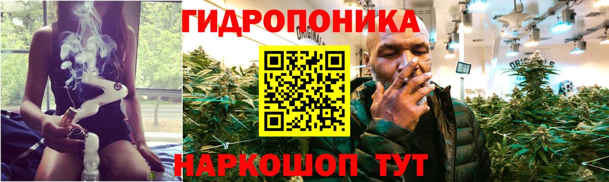 Бошки марихуана Bruce Banner  Вход с VPN  Конопля Ganja  Марихуана SATIVA & INDICA  Горячий Ключ 